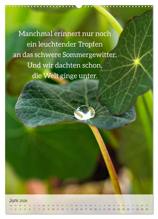 Manchmal - Poetische Momentaufnahmen (CALVENDO Premium Wandkalender 2026)