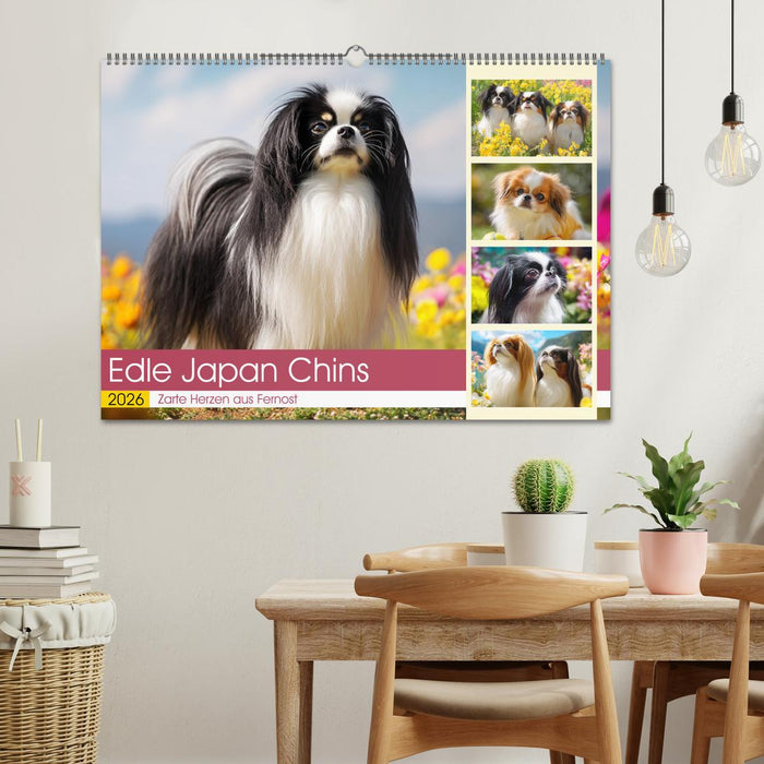 Edle Japan Chins. Zarte Herzen aus Fernost (CALVENDO Wandkalender 2026)