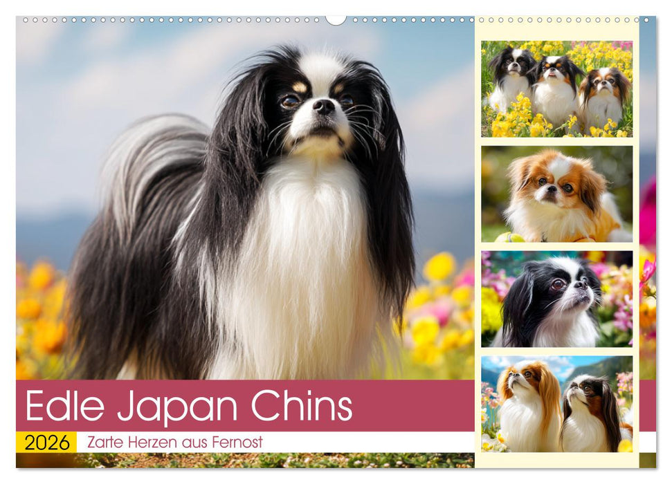 Edle Japan Chins. Zarte Herzen aus Fernost (CALVENDO Wandkalender 2026)