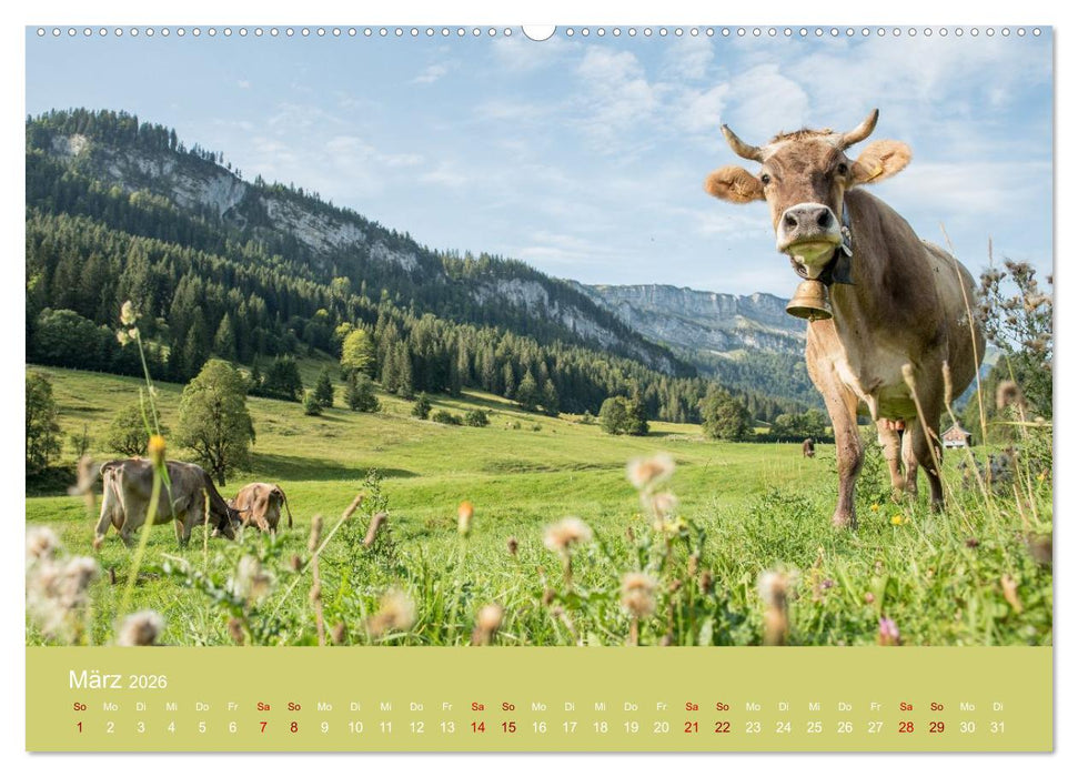 Heimweh Allgäu 2026 (CALVENDO Premium Wandkalender 2026)