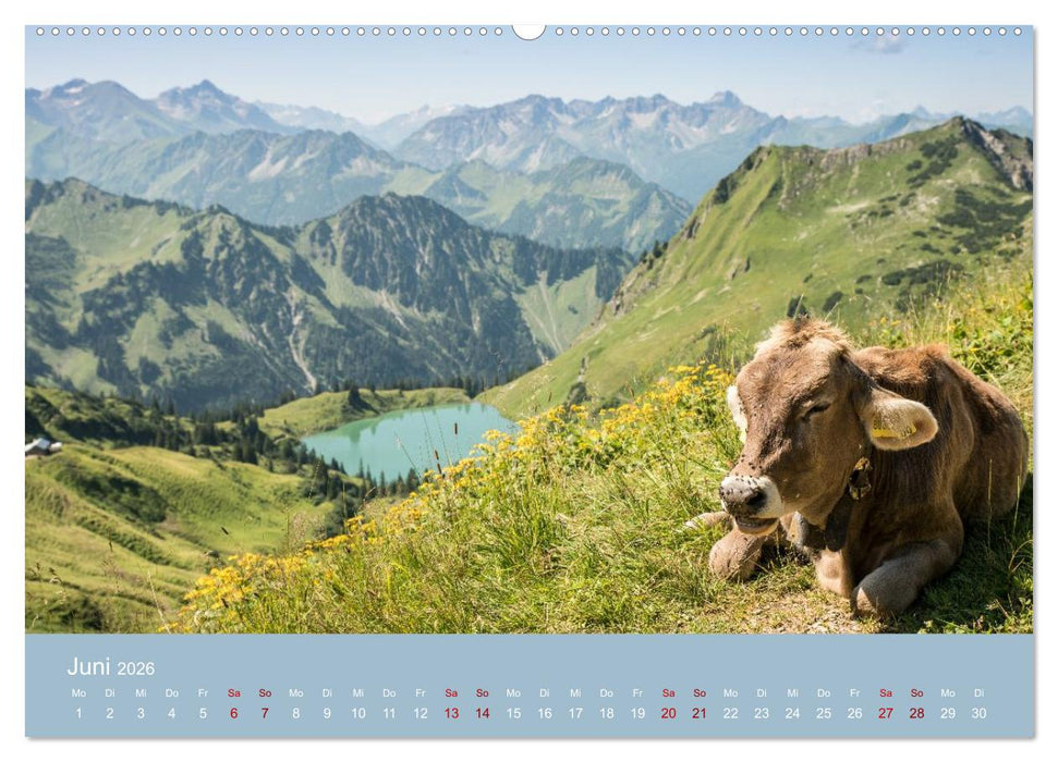 Heimweh Allgäu 2026 (CALVENDO Premium Wandkalender 2026)