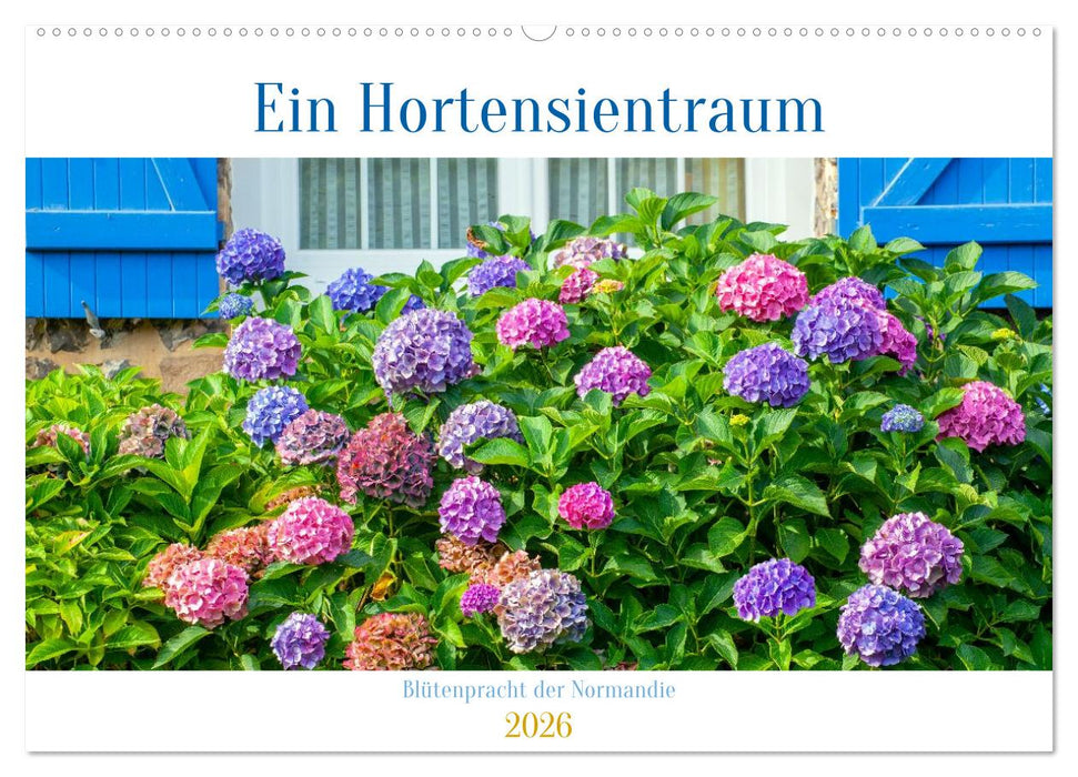 Ein Hortensientraum (CALVENDO Wandkalender 2026)