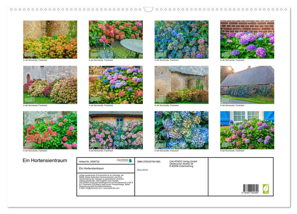 Ein Hortensientraum (CALVENDO Wandkalender 2026)