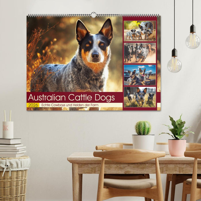 Australian Cattle Dogs. Echte Cowboys und Helden der Farm (CALVENDO Wandkalender 2026)