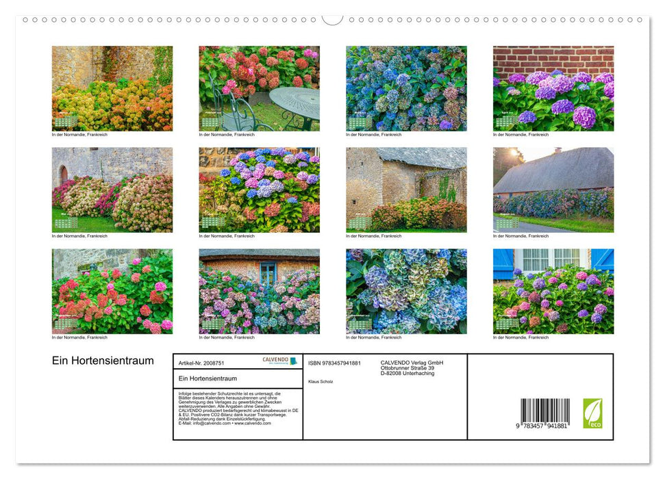 Ein Hortensientraum (CALVENDO Premium Wandkalender 2026)