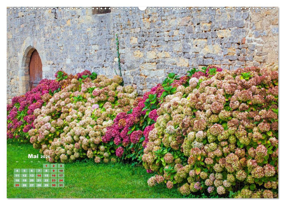 Ein Hortensientraum (CALVENDO Premium Wandkalender 2026)