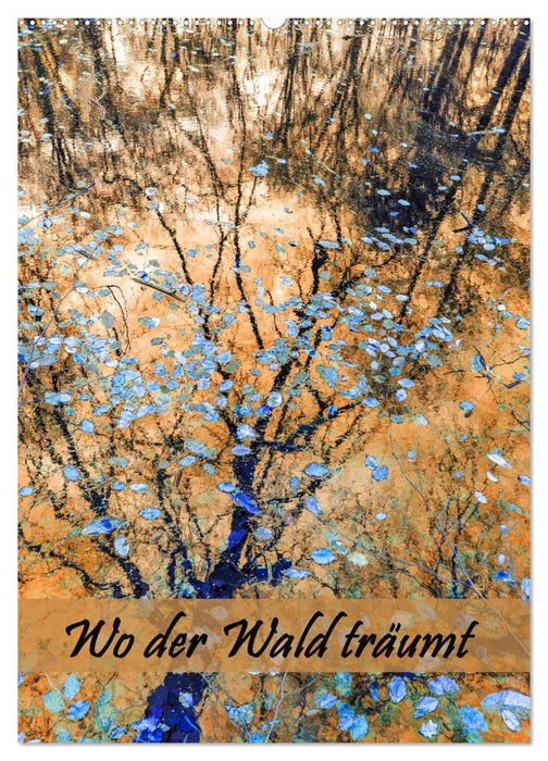 Wo der Wald träumt (CALVENDO Wandkalender 2026)