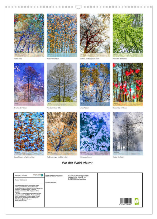 Wo der Wald träumt (CALVENDO Wandkalender 2026)