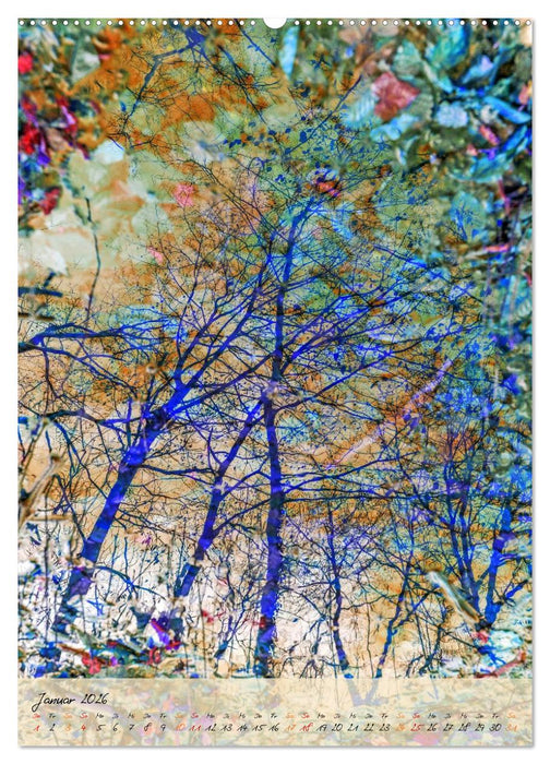 Wo der Wald träumt (CALVENDO Wandkalender 2026)