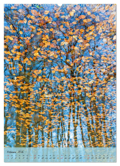 Wo der Wald träumt (CALVENDO Wandkalender 2026)