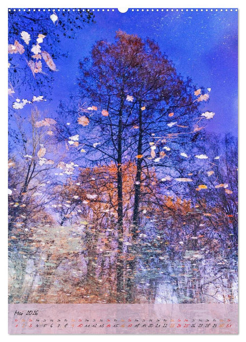 Wo der Wald träumt (CALVENDO Wandkalender 2026)