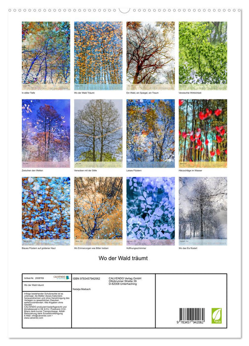 Wo der Wald träumt (CALVENDO Premium Wandkalender 2026)