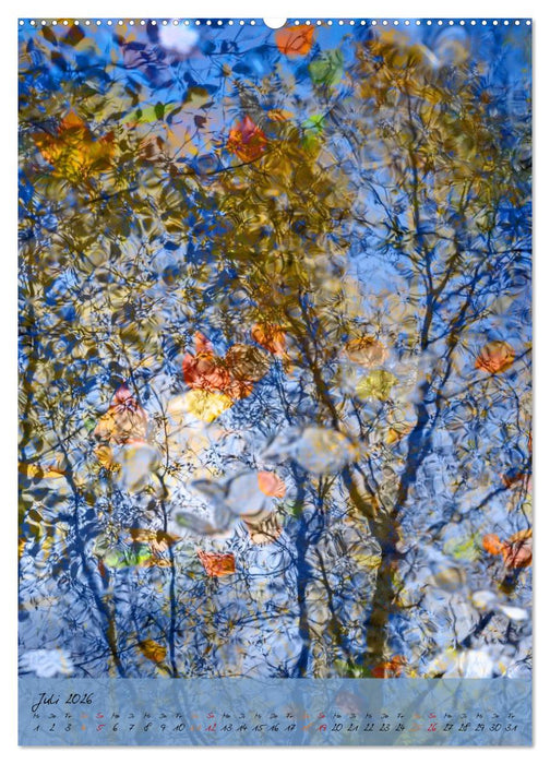 Wo der Wald träumt (CALVENDO Premium Wandkalender 2026)