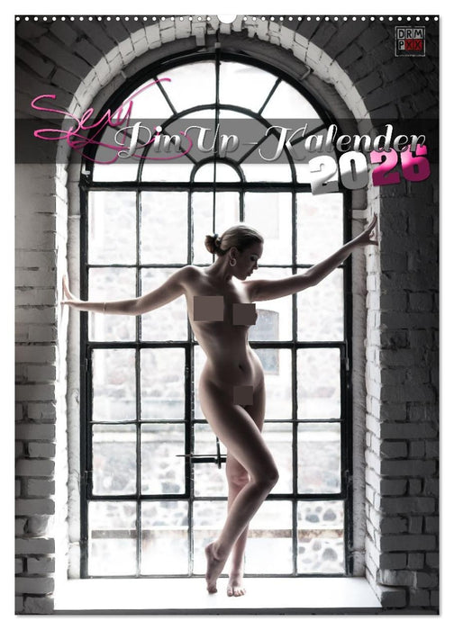 Sexy PinUp-Kalender 2026 (CALVENDO Wandkalender 2026)