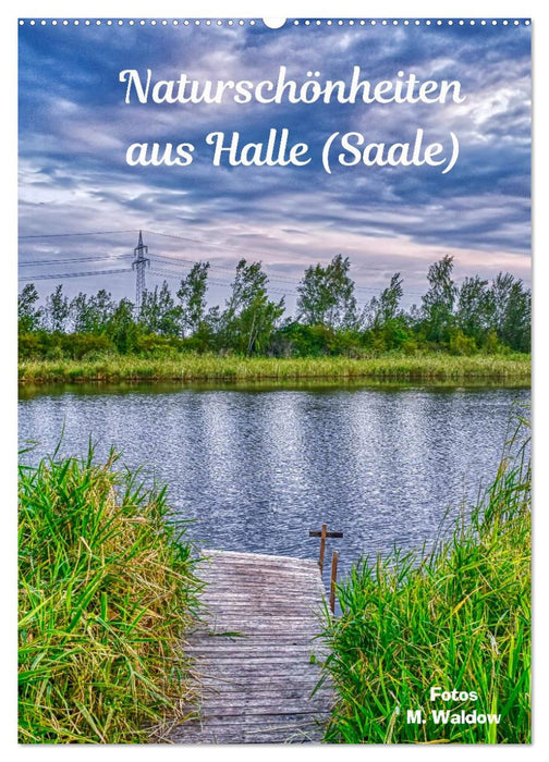 Naturschönheiten aus Halle (Saale) (CALVENDO Wandkalender 2026)