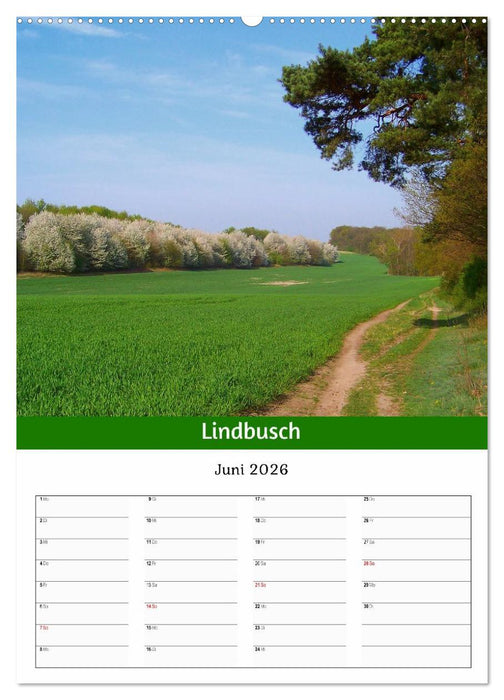 Naturschönheiten aus Halle (Saale) (CALVENDO Premium Wandkalender 2026)