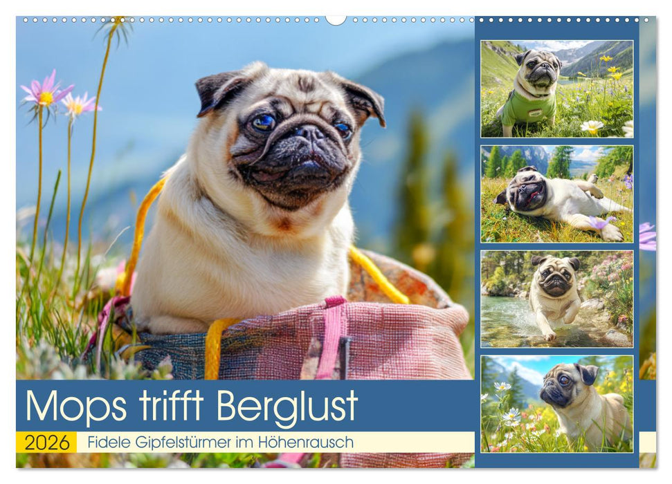 Mops trifft Berglust. Fidele Gipfelstürmer im Höhenrausch (CALVENDO Wandkalender 2026)