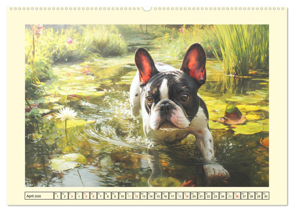 Fledermaus Alarm. Französiche Bulldoggen in der Natur (CALVENDO Premium Wandkalender 2026)