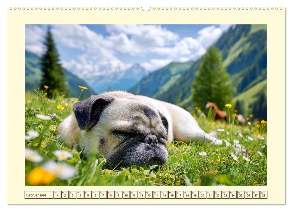 Mops trifft Berglust. Fidele Gipfelstürmer im Höhenrausch (CALVENDO Premium Wandkalender 2026)