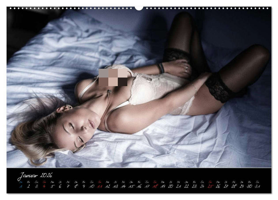 PinUp-Kalender 2026 (CALVENDO Premium Wandkalender 2026)