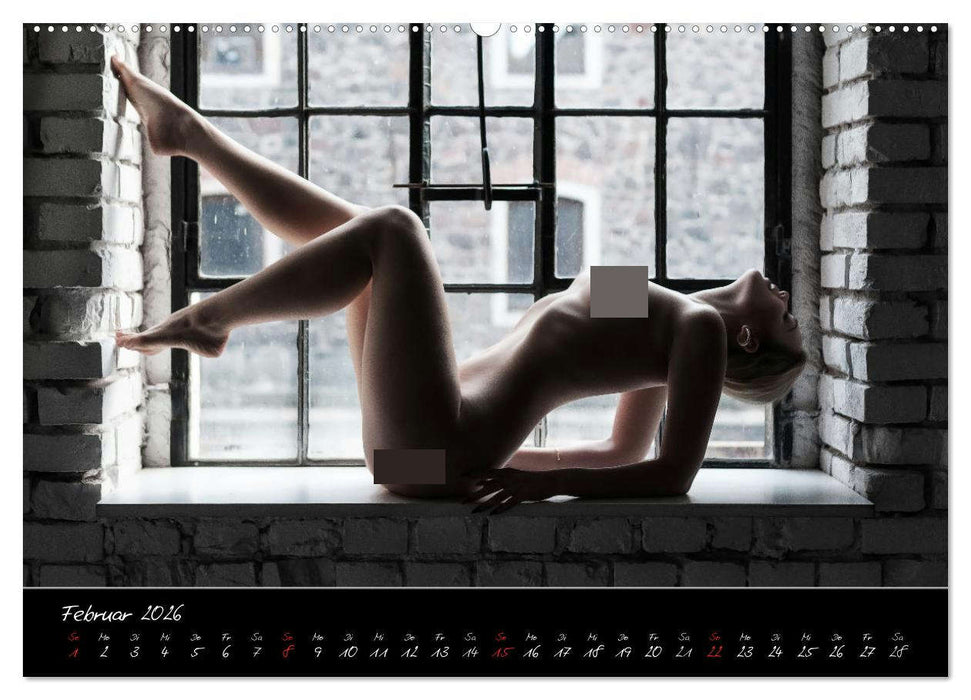 PinUp-Kalender 2026 (CALVENDO Premium Wandkalender 2026)