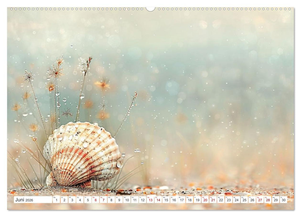 Sandgeflüster und Muschelzauber (CALVENDO Wandkalender 2026)