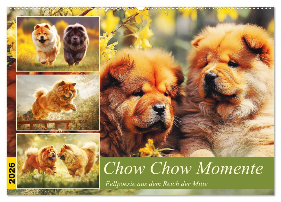 Chow Chow Momente. Fellpoesie aus dem Reich der Mitte (CALVENDO Wandkalender 2026)
