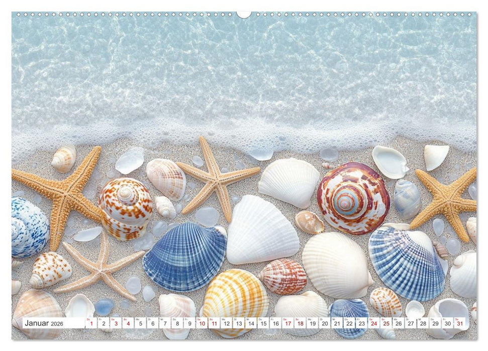 Sandgeflüster und Muschelzauber (CALVENDO Premium Wandkalender 2026)