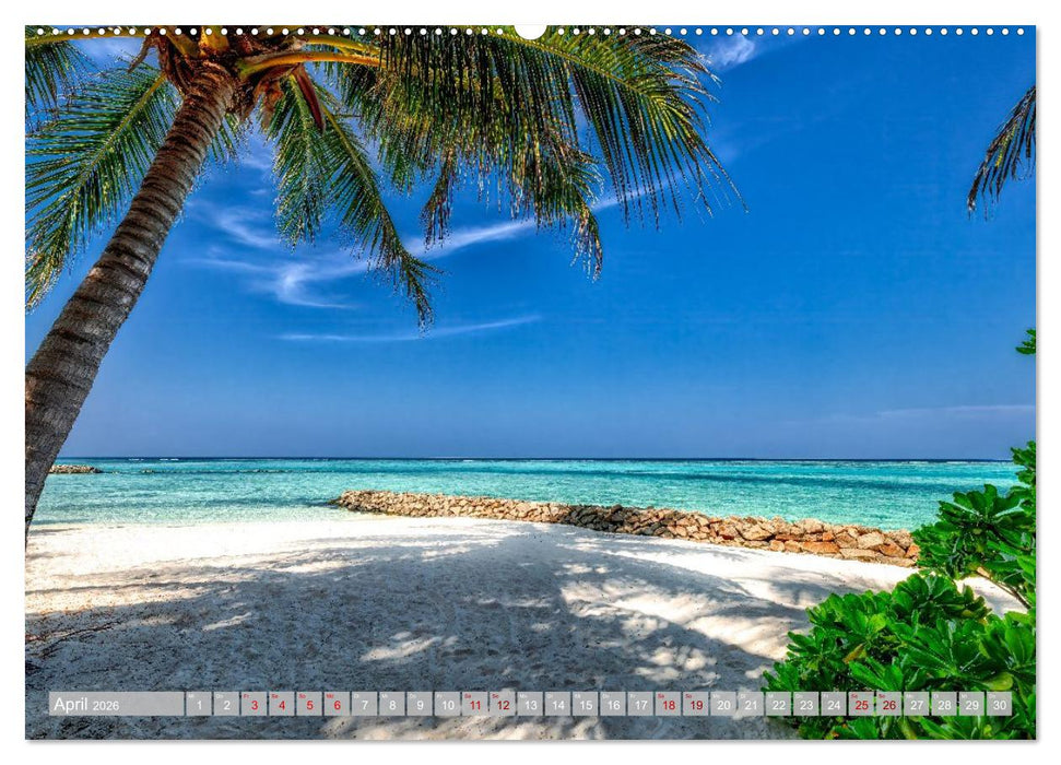 Malerische Malediven (CALVENDO Premium Wandkalender 2026)
