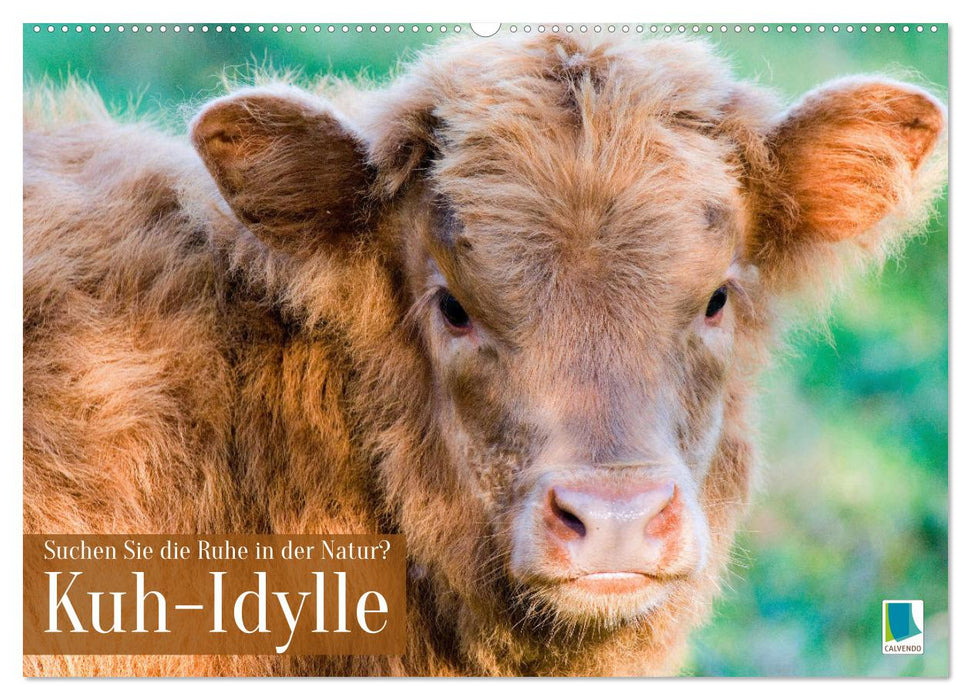 Kuh-Idylle: Suchen Sie die Ruhe in der Natur? (CALVENDO Wandkalender 2026)