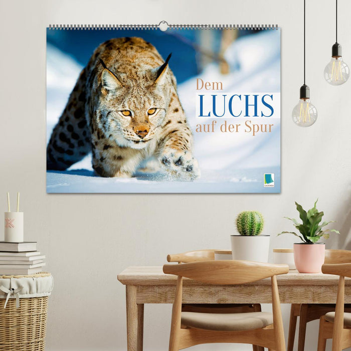 Dem Luchs auf der Spur (CALVENDO Wandkalender 2026)