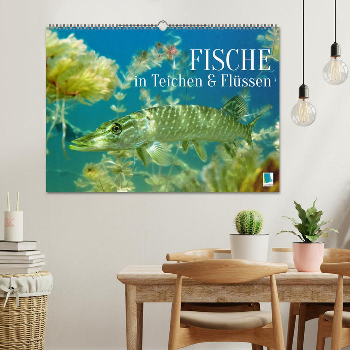 Fische in Teichen und Flüssen (CALVENDO Wandkalender 2026)