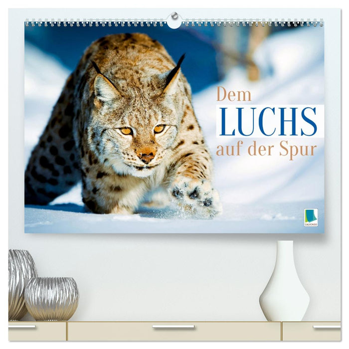Dem Luchs auf der Spur (CALVENDO Premium Wandkalender 2026)