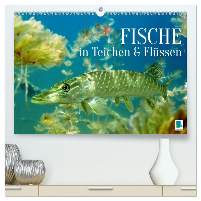 Fische in Teichen und Flüssen (CALVENDO Premium Wandkalender 2026)