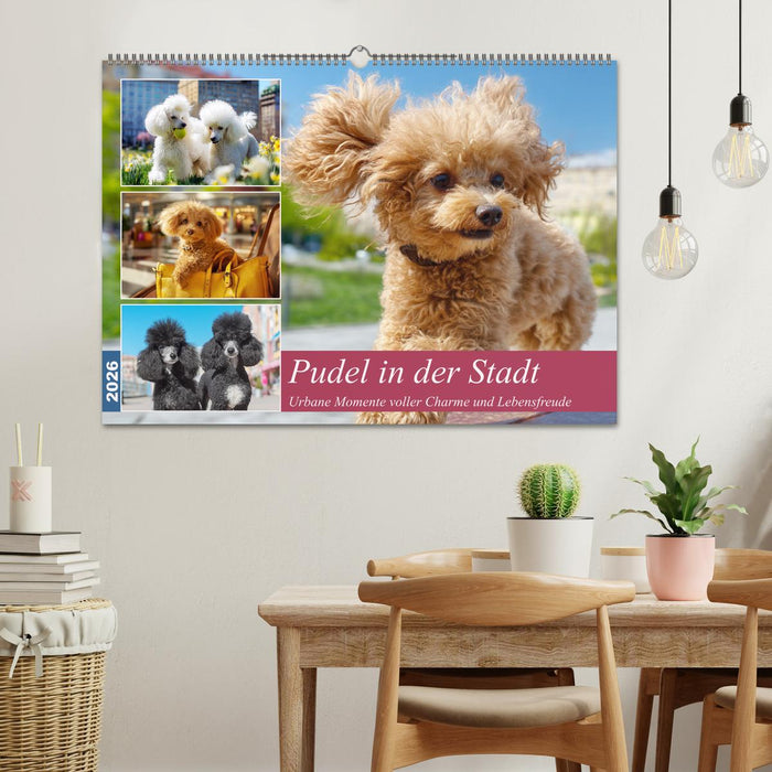 Pudel in der Stadt. Urbane Momente voller Charme und Lebensfreude (CALVENDO Wandkalender 2026)
