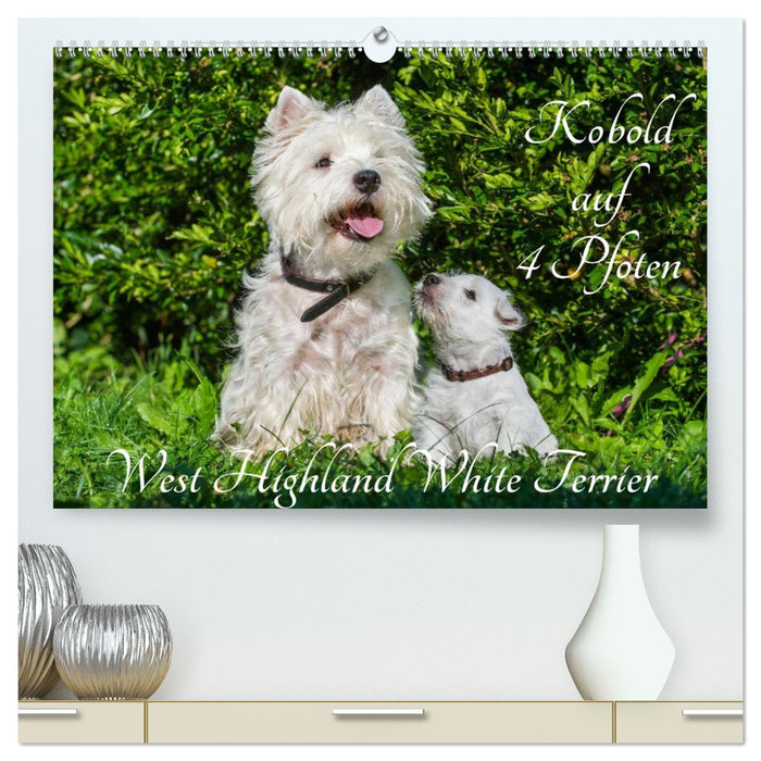 Kobold auf 4 Pfoten - West Highland White Terrier (CALVENDO Premium Wandkalender 2026)