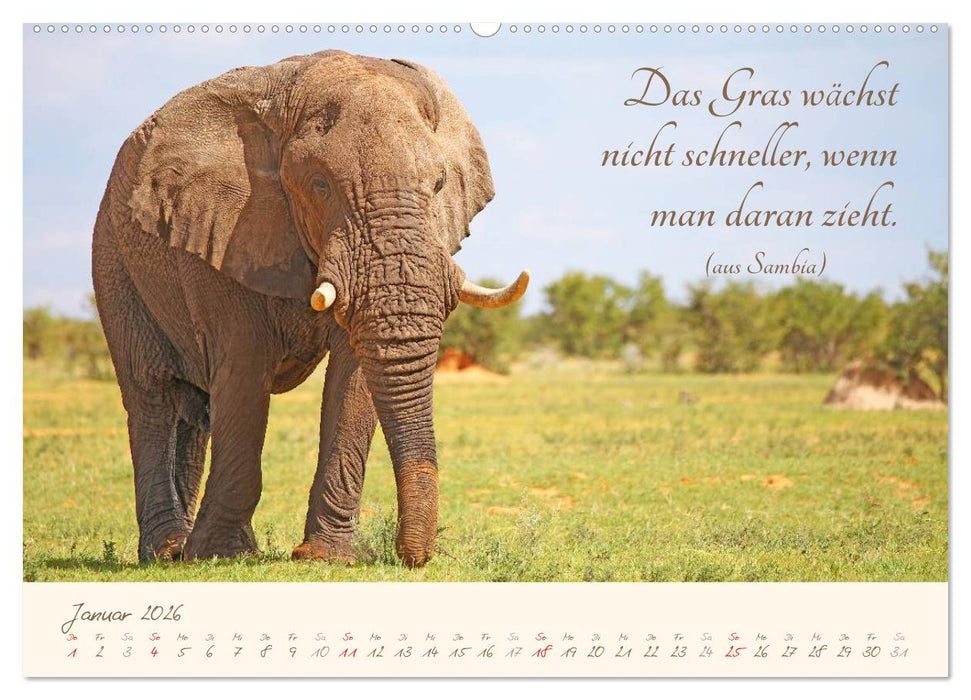 AFRIKA mit einem Hauch von Poesie (CALVENDO Premium Wandkalender 2026)
