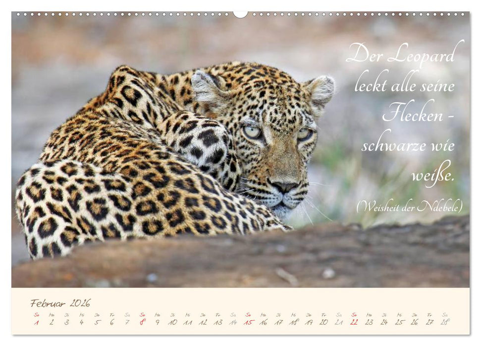 AFRIKA mit einem Hauch von Poesie (CALVENDO Premium Wandkalender 2026)