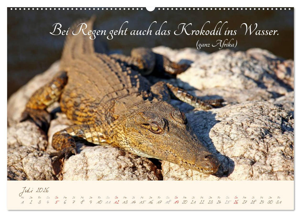 AFRIKA mit einem Hauch von Poesie (CALVENDO Premium Wandkalender 2026)