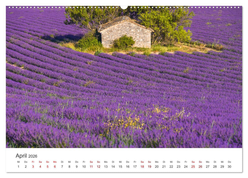 Träume aus Lavendel, Provence in Rosa bis Lila (CALVENDO Wandkalender 2026)