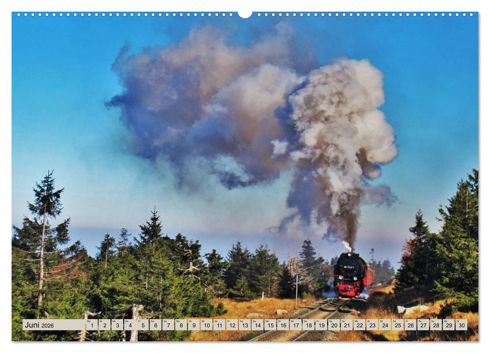 Harzerlebnisse (CALVENDO Wandkalender 2026)