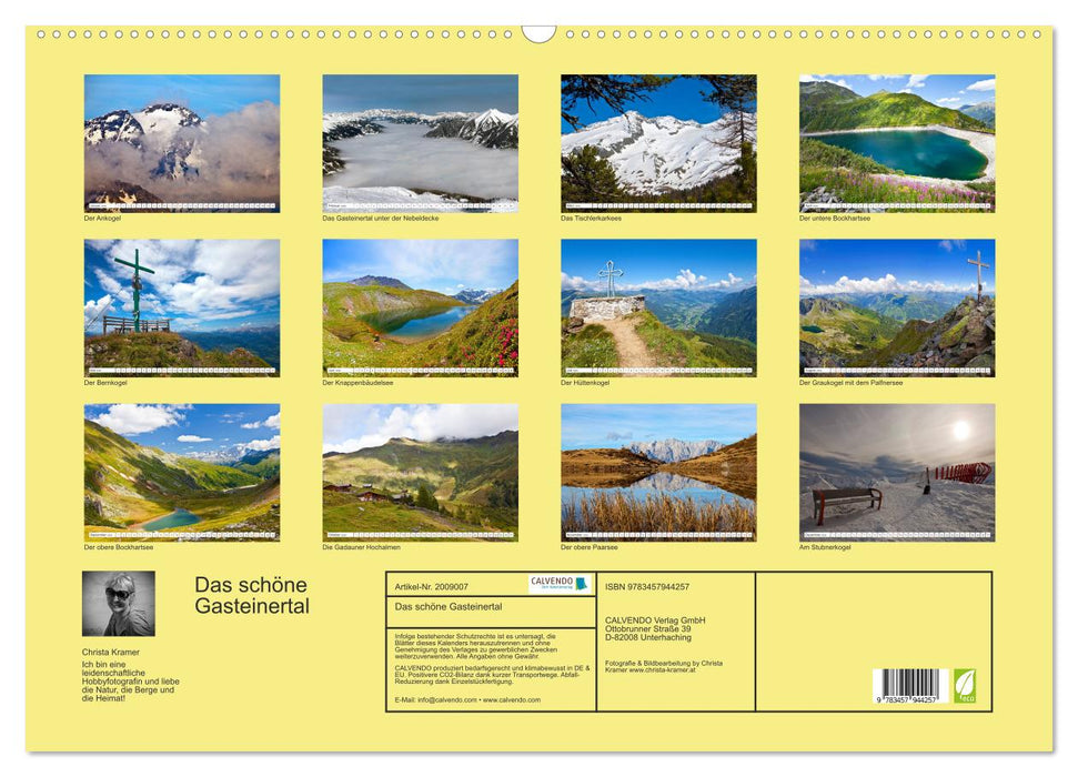 Das schöne Gasteinertal (CALVENDO Wandkalender 2026)