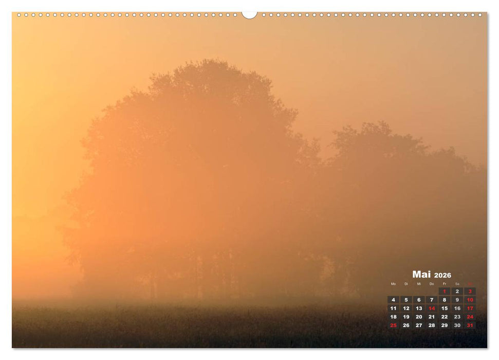 Die Dingdener Heide im Wandel der Jahreszeiten (CALVENDO Premium Wandkalender 2026)