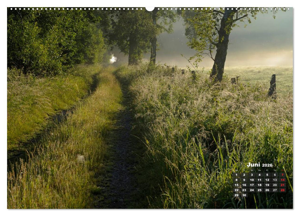 Die Dingdener Heide im Wandel der Jahreszeiten (CALVENDO Premium Wandkalender 2026)