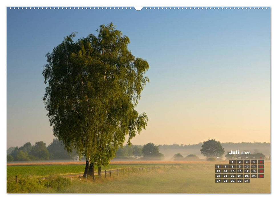 Die Dingdener Heide im Wandel der Jahreszeiten (CALVENDO Premium Wandkalender 2026)