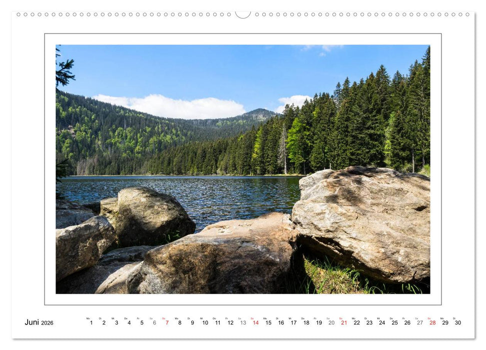 Rund um den Großen Arber (CALVENDO Wandkalender 2026)