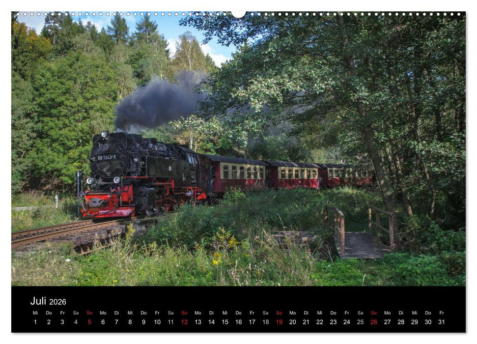 Unter Dampf in Sachsen Anhalt 2.0 (CALVENDO Premium Wandkalender 2026)
