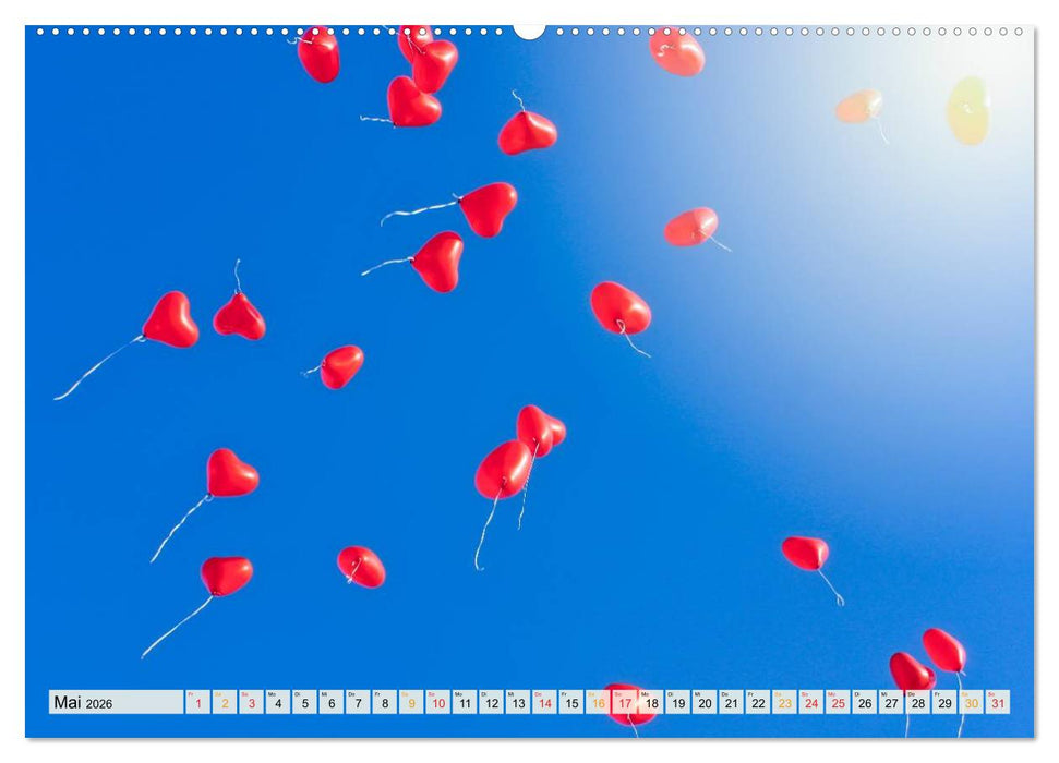 Mein schöner bunter Luftballon (CALVENDO Premium Wandkalender 2026)