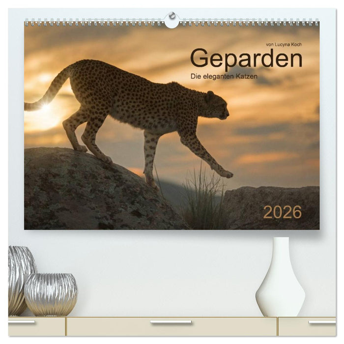 Geparden. Die eleganten Katzen. (CALVENDO Premium Wandkalender 2026)