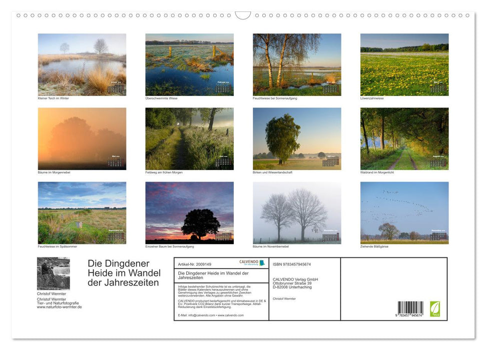Die Dingdener Heide im Wandel der Jahreszeiten (CALVENDO Wandkalender 2026)